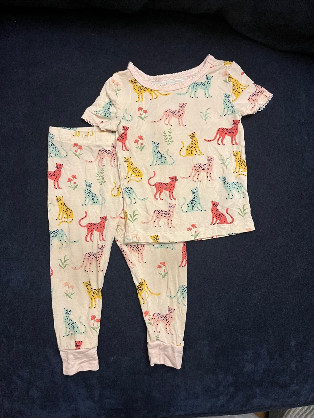 Bamboo Pink Leopards Pajama Set
